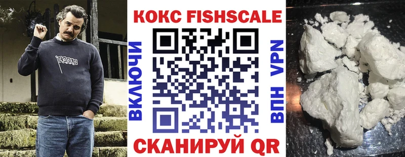COCAIN Fish Scale  Купить  Болгар 