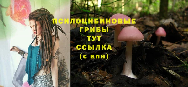 ешки Арсеньев
