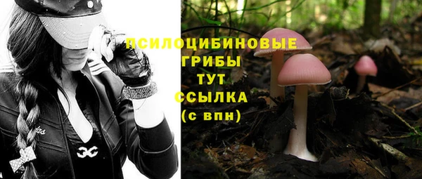 хмурый Балахна
